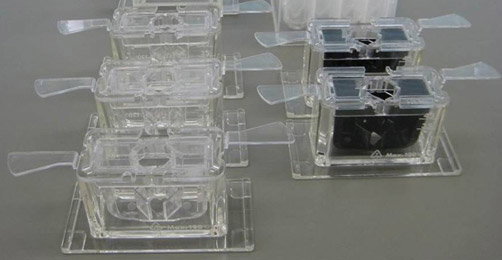 AX-SV-56-1 - Support transparent de positionnement pour tube de 2 ml (Lot de 5)
