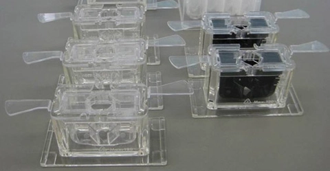 AX-SV-56-1 - Support transparent de positionnement pour tube de 2 ml (Lot de 5)