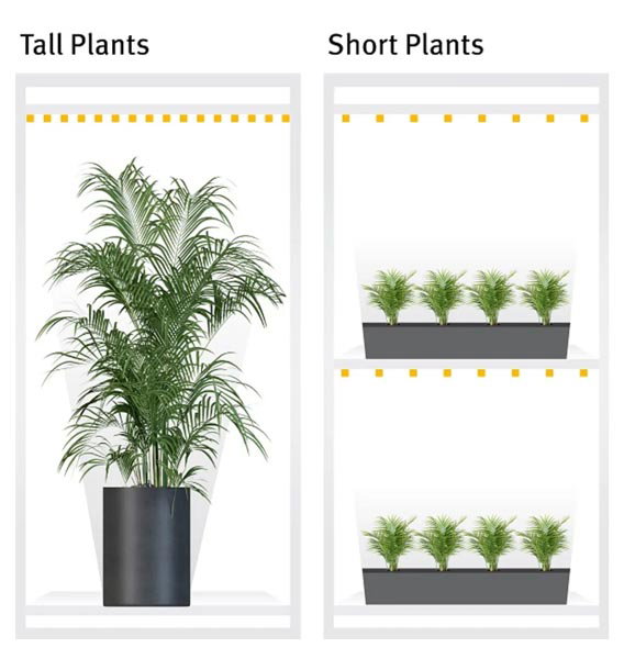 Module d’éclairage LED pour plantes - Binder