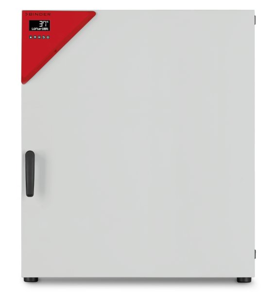 Incubateur microbiologique ventilé BF 260 - Binder