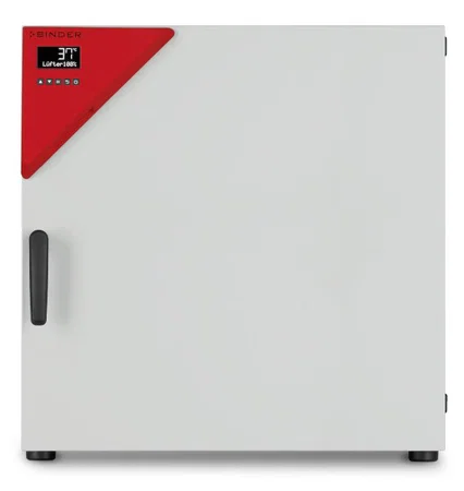 Incubateur microbiologique BD 115 - Binder