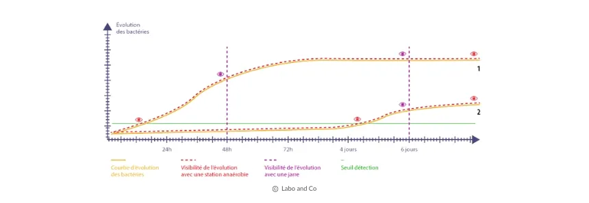 Laboandco_schema_evolution-anaerobie.webp