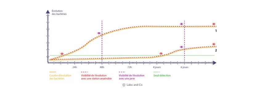 Laboandco_schema_evolution_anaerobie-1.webp