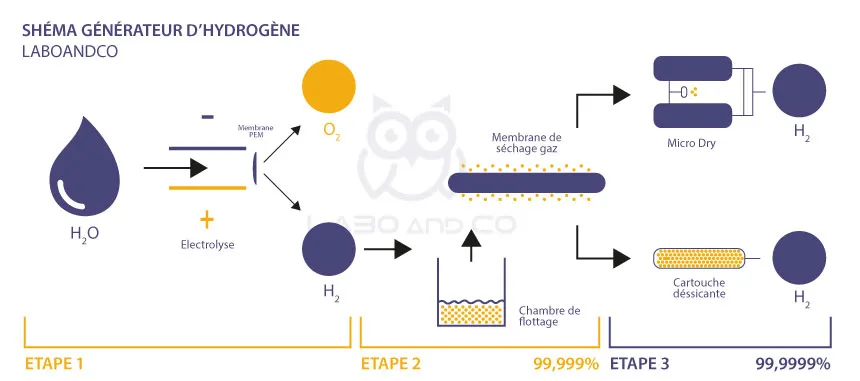 Laboandco_schema_generateur_hydrogene2.webp