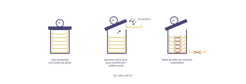 Laboandco_schema_jarre-1.webp