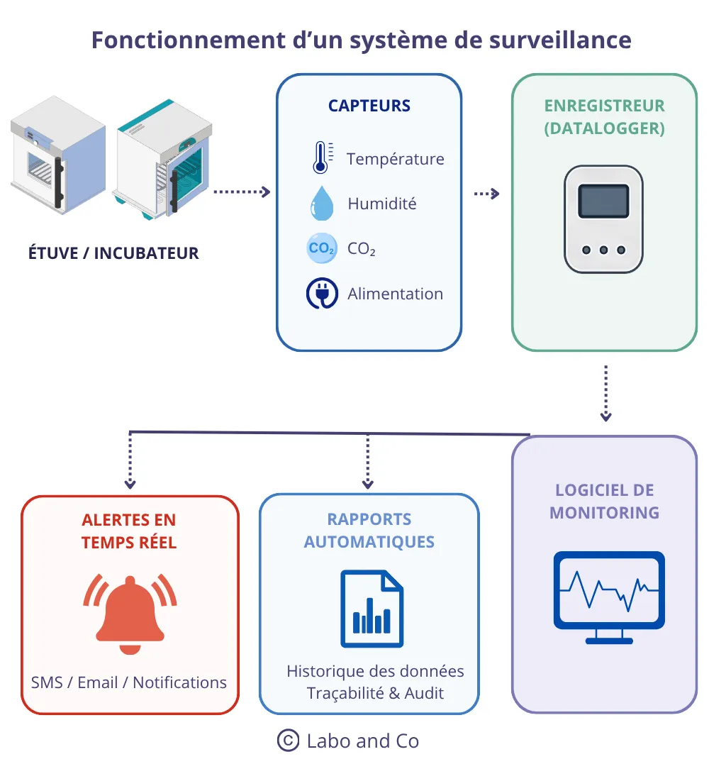fonctionnement-systeme-surveillance.webp