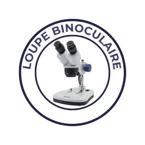 loupe-binoculaire-laboandco.webp
