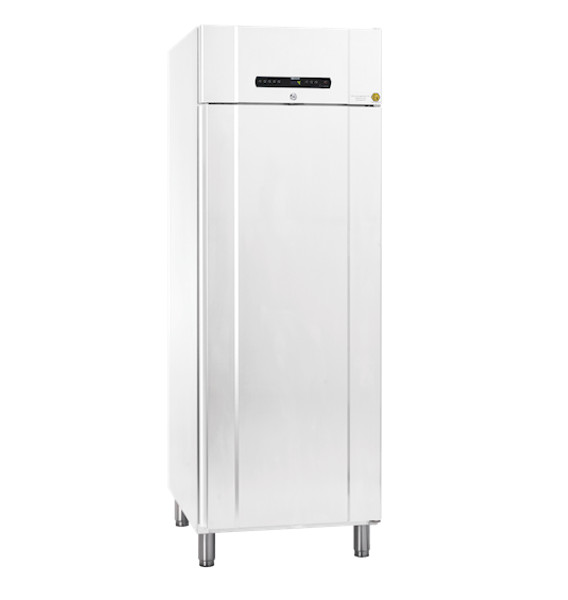 Réfrigérateur +5°C ±3°C antidéflagrant BioCompact II RR610LG - Porte pleine - Gram