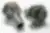 Adaptateurs 3/4"G Femelle