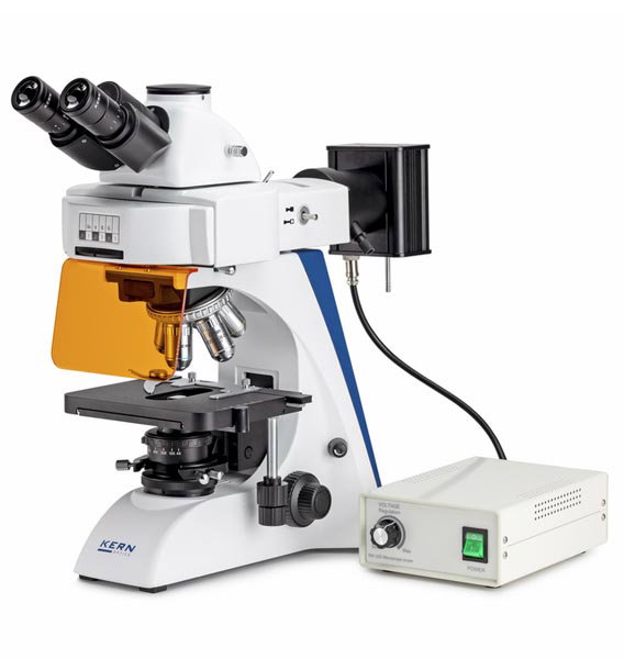 Microscope trinoculaire à fluorescence OBN 141 - Kern