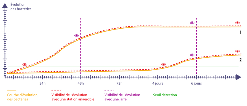 Laboandco_schema_evolution_anaerobie