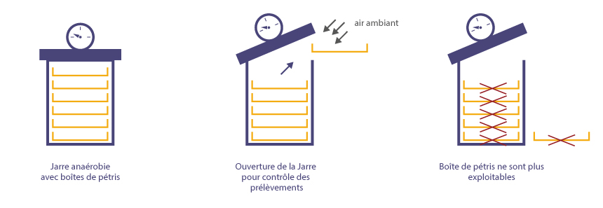 Laboandco_schema_jarre
