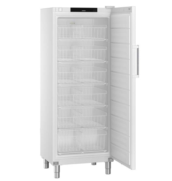 Congélateur professionnel - Cuve plastique - FFFsg 6501 - Liebherr