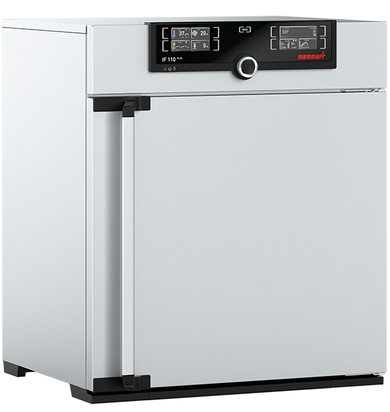 Incubateur bactériologique ventilé IF110plus - Memmert