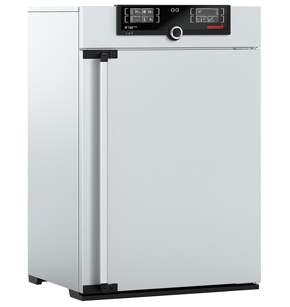 Incubateur bactériologique ventilé IF160plus - Memmert