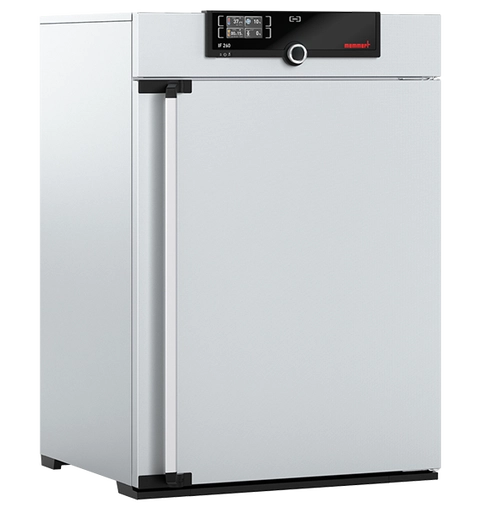 Incubateur bactériologique ventilé IF260 - Memmert