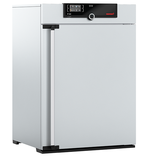 Incubateur bactériologique ventilé IF260 - Memmert