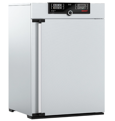 Incubateur bactériologique ventilé IF260plus - Memmert