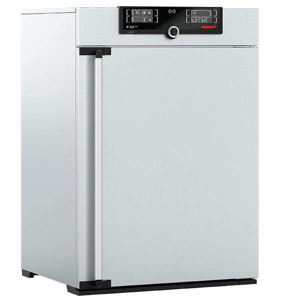 Incubateur bactériologique ventilé IF260plus - Memmert