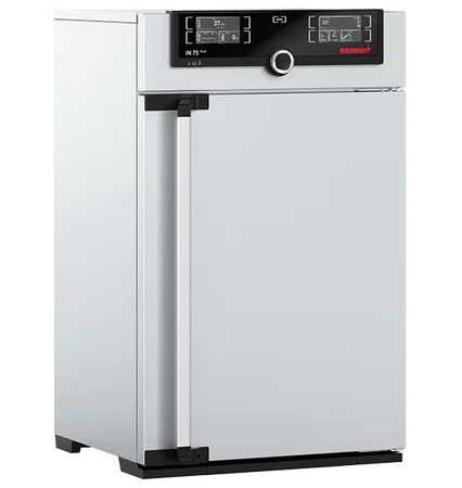 Incubateur bactériologique ventilé IF75plus - Memmert