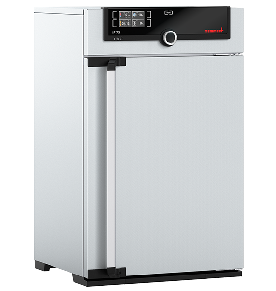 Incubateur bactériologique IN 75 - Convection naturelle - Memmert