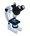 Microscopie / Optique