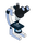 Microscopie / Optique