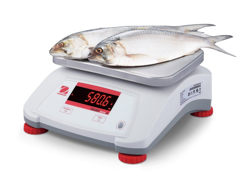 Balance agroalimentaire étanche Valor 2000 - 6 kg - OHAUS