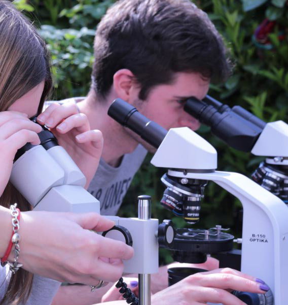 Microscope binoculaire B-157ALC - Optika