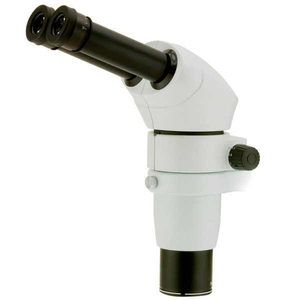 Tête zoom binoculaire SZP-6 - Optika