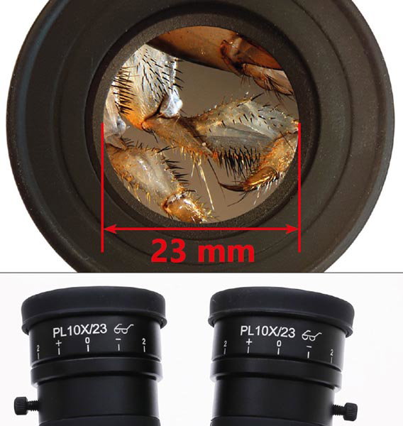 Tête zoom trinoculaire SZX-T - Optika