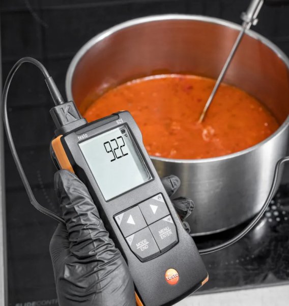 Thermomètre à sonde interchangeable - Testo 925
