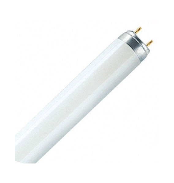 D65-1200-T8 - Lampe de rechange pour cabine à lumière Verivide