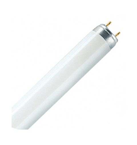 D65-1200-T8 - Lampe de rechange pour cabine à lumière Verivide