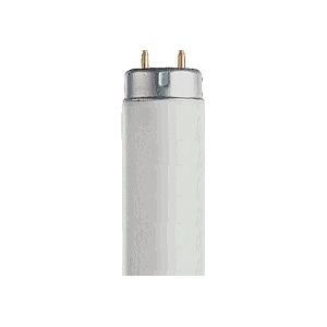 VER-600D65 - Lampe de rechange pour cabine à lumière Verivide