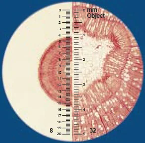 0000001078583 - Micromètre oculaire à double échelle x8 et x32