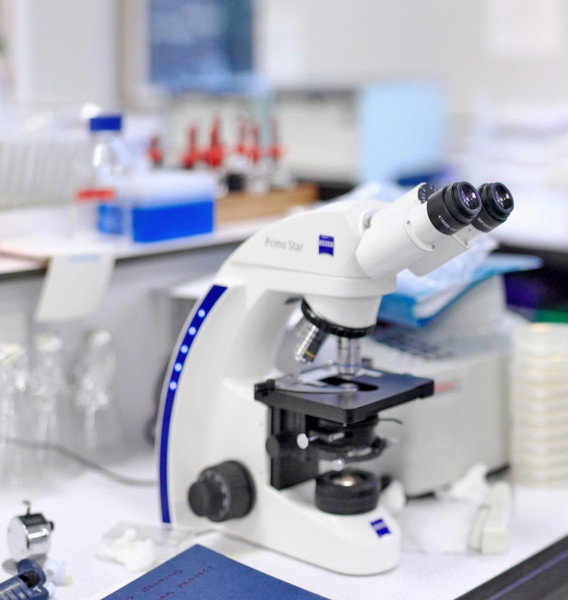 Microscope Primo Star - Zeiss