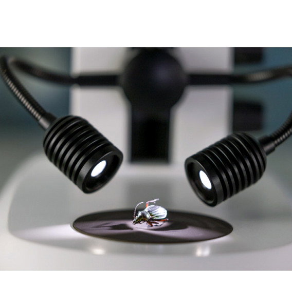 Double éclairage spot LED pour statif K  - Zeiss